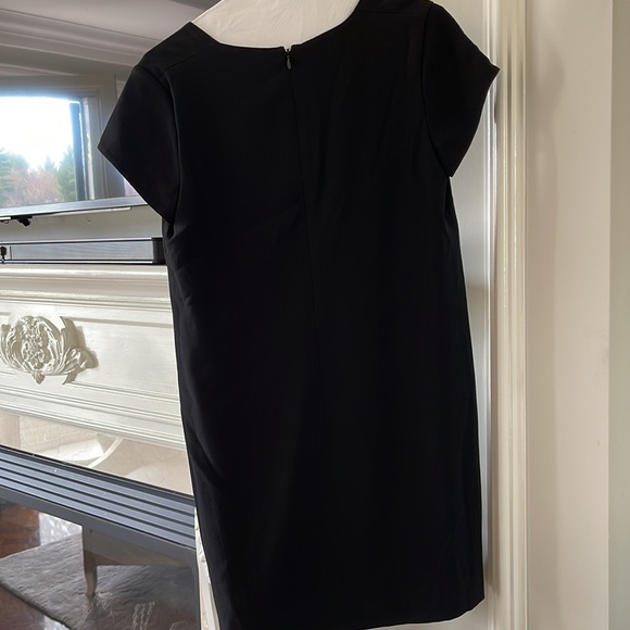 Babaton dress - Picture 3 of 4